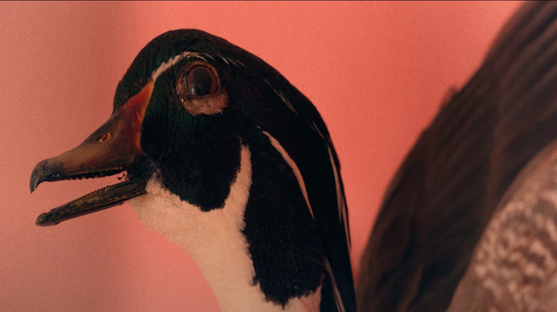 кадр из фильма Cervidé