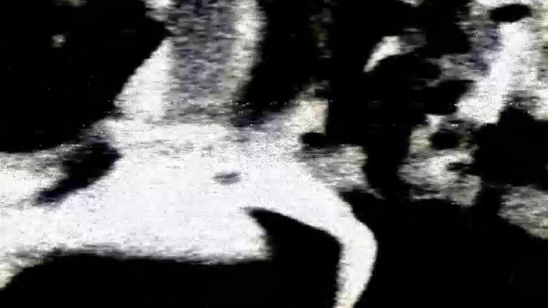 кадр из фильма The Essence Of Creation, Lost To The Night