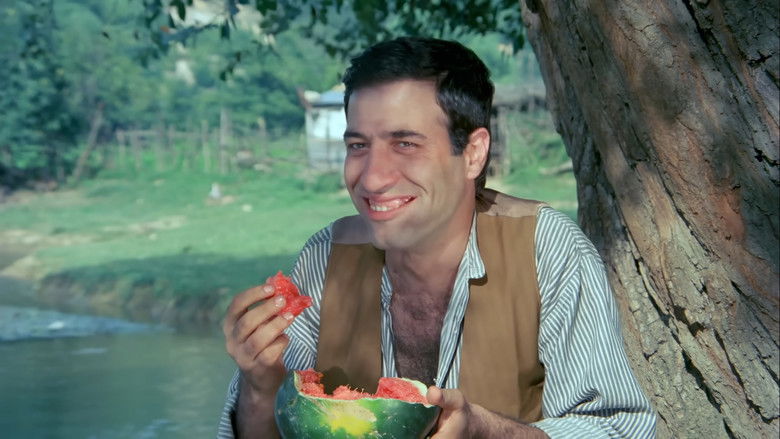 кадр из фильма Şark Bülbülü