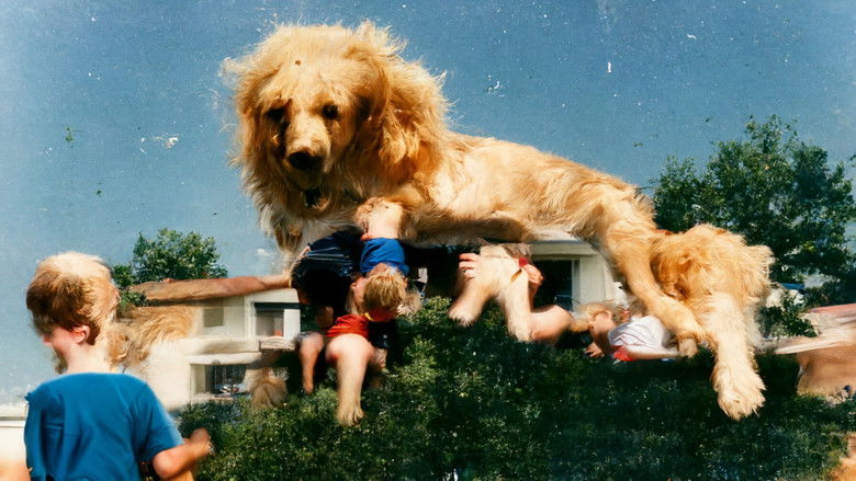 кадр из фильма Counterfeit Poast