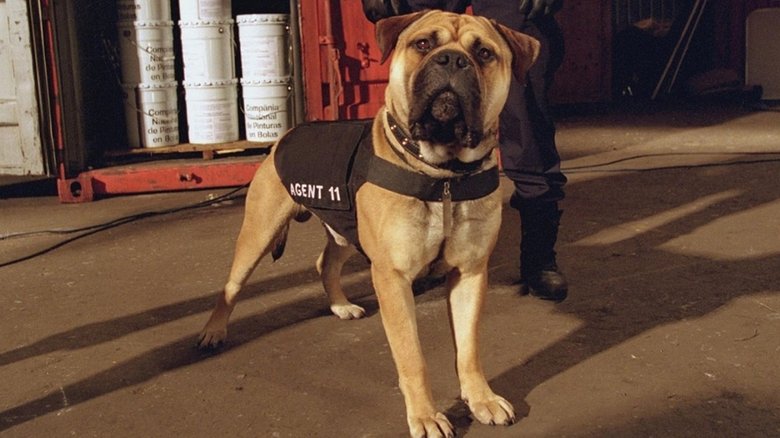 кадр из фильма Агент по кличке Спот