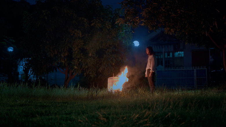 кадр из фильма Lost Boy