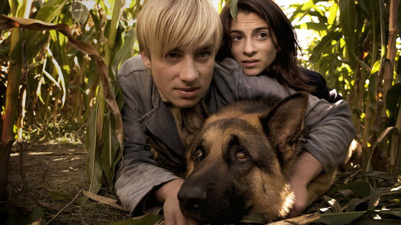 кадр из фильма Snuf De Hond In Oorlogstijd