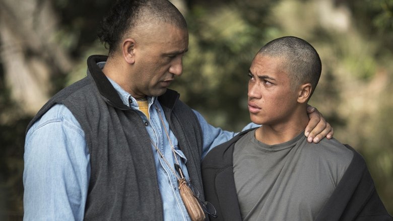 кадр из фильма Тёмная лошадка