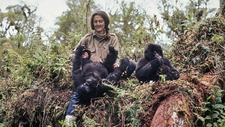 кадр из фильма Dian Fossey: Ihr Leben für die Gorillas