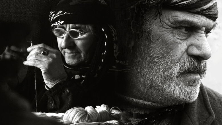 кадр из фильма دوایین زستان