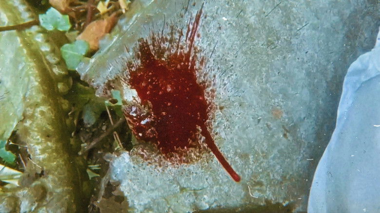 кадр из фильма ABHORRENT II