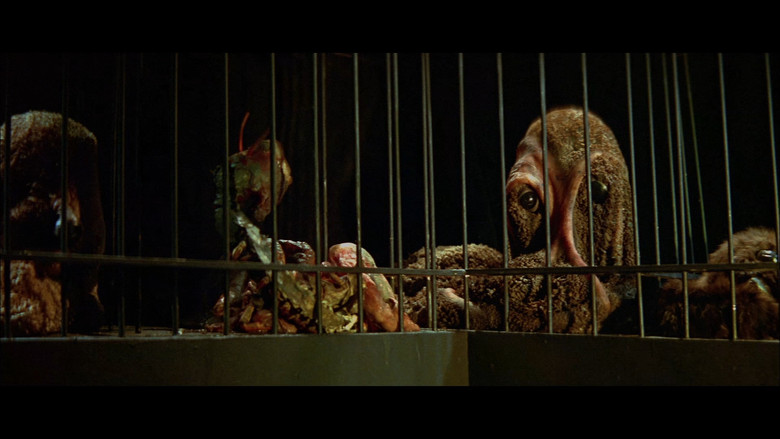 кадр из фильма Умри, монстр, умри!