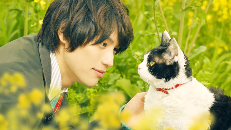 кадр из фильма 旅猫リポート