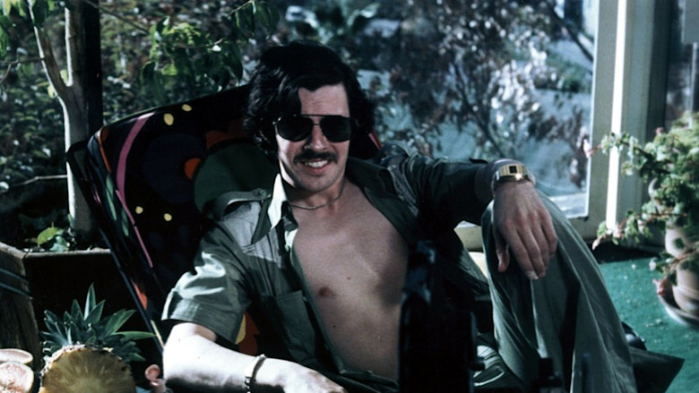 кадр из фильма Не совсем Голливуд