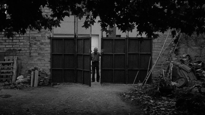 кадр из фильма Llenya