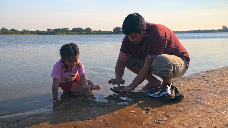 кадр из фильма Paternité : une métamorphose décryptée