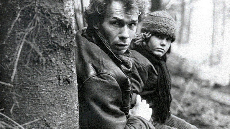 кадр из фильма Árnyék a havon