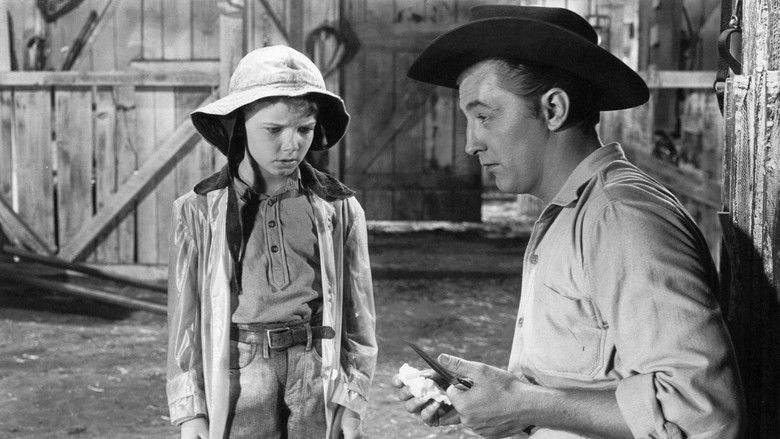 кадр из фильма Рыжий пони