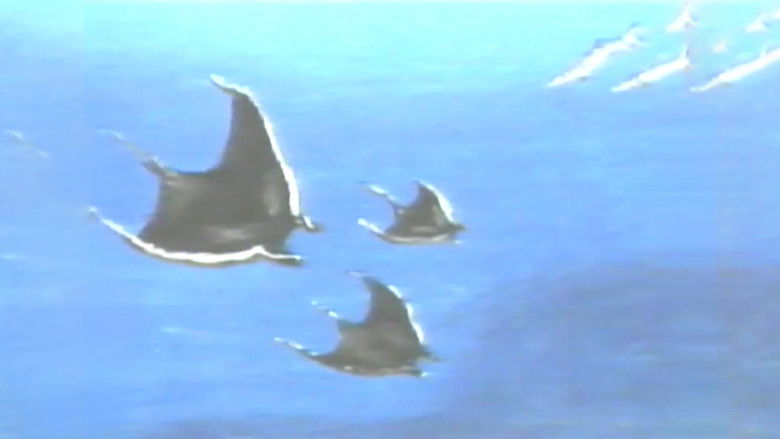 кадр из фильма Hampie - ein kleiner Wal entdeckt seine Welt