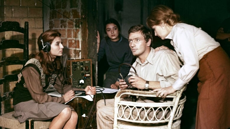 кадр из фильма Agent Nr.1