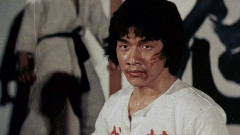 кадр из фильма Новый кулак ярости