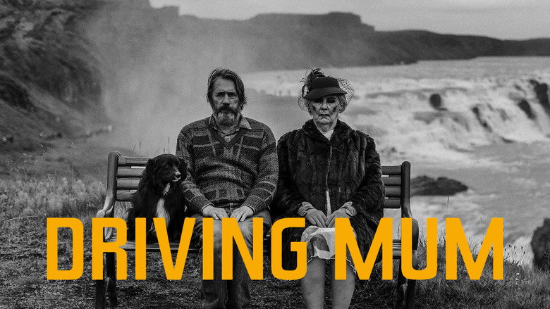 кадр из фильма Á Ferð með Mömmu