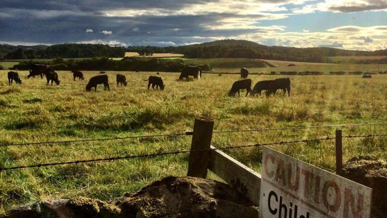 кадр из фильма Look Back In Angus