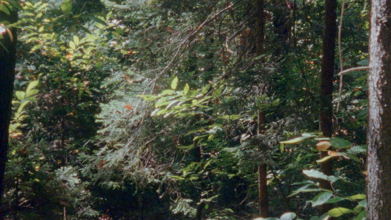 кадр из фильма Obzornik 670 – Rdeči gozdovi