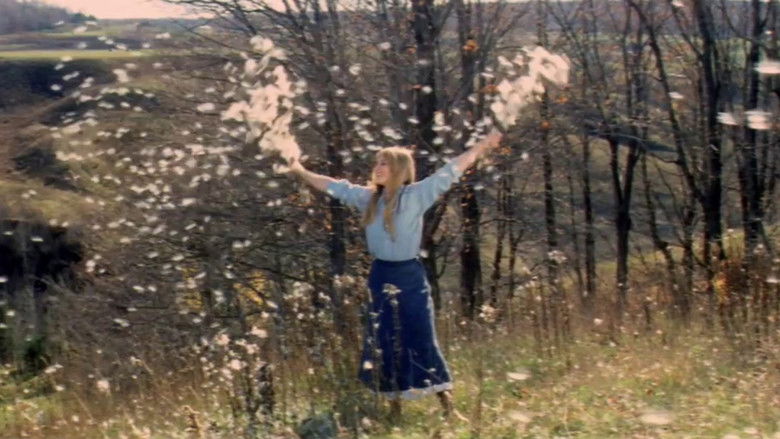 кадр из фильма La vraie nature de Bernadette