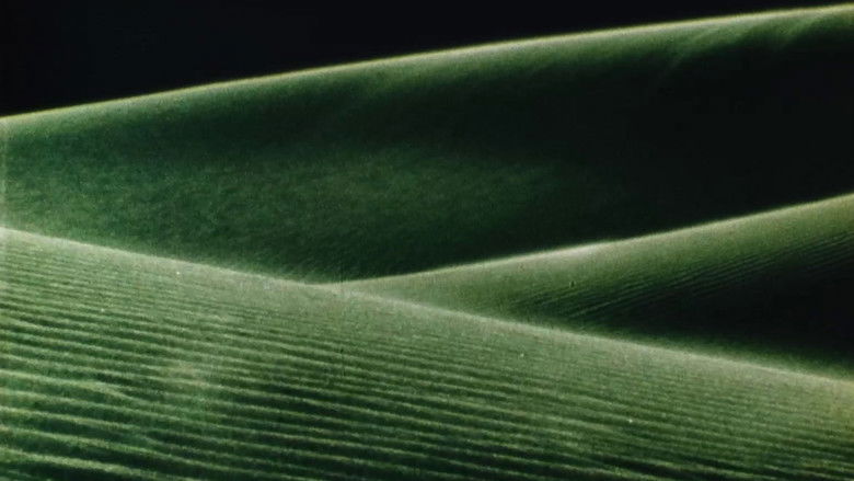 кадр из фильма Alaya