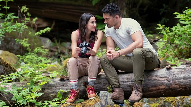 кадр из фильма Journey of My Heart