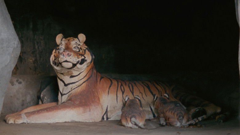 кадр из фильма กระบี่, 2562