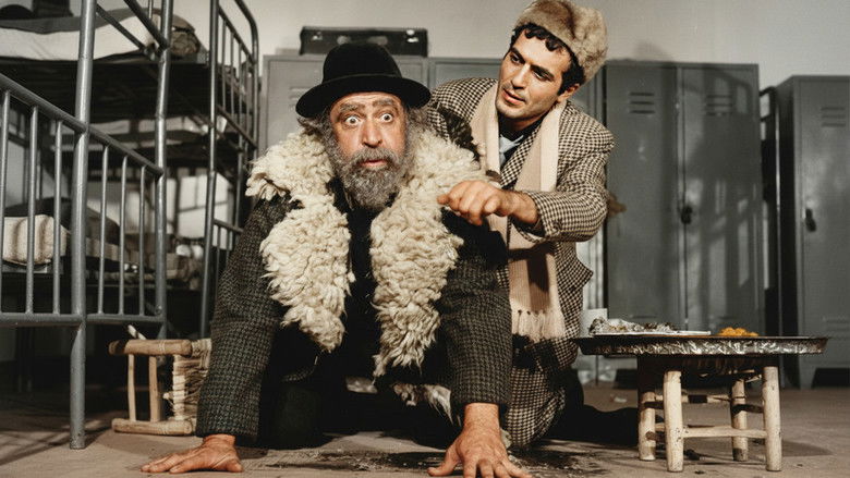 кадр из фильма Buzlar Çözülmeden