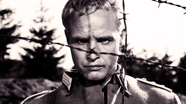 кадр из фильма Молодые львы