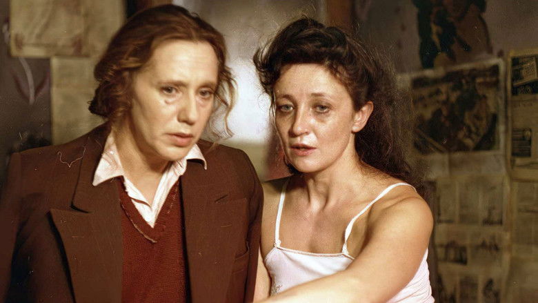 кадр из фильма Год спокойного солнца