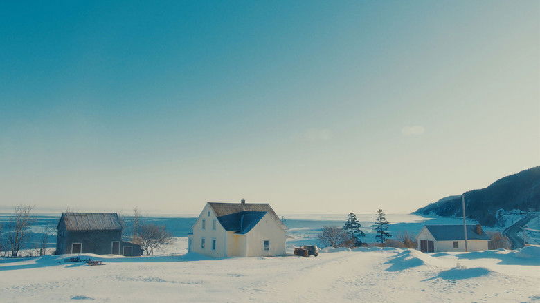 кадр из фильма Nimager