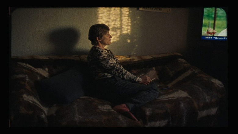 кадр из фильма Podul de piatrâ