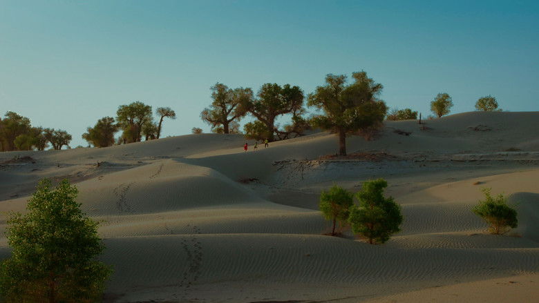 кадр из фильма 第一次的离别