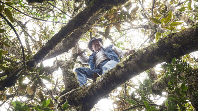 кадр из фильма La casa de Walter