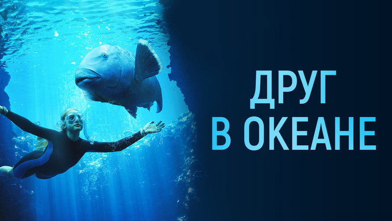 кадр из фильма Друг в океане