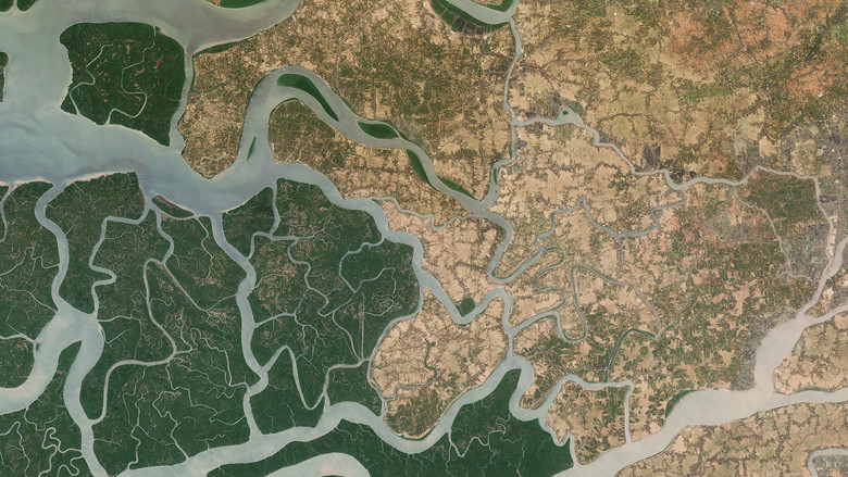 кадр из фильма 2024: The Year From Space