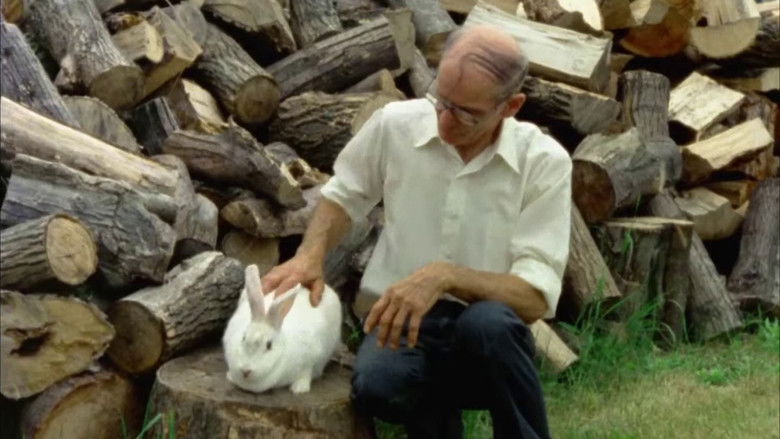 кадр из фильма Forever Young