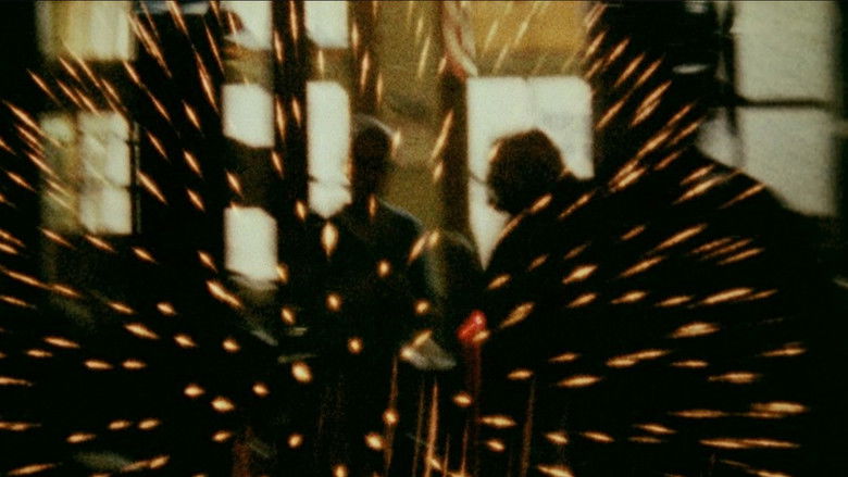 Looking for Mushrooms