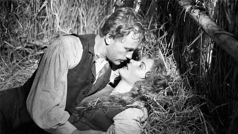 кадр из фильма Il mulino del Po