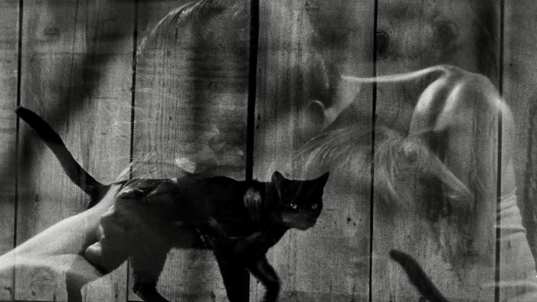 кадр из фильма Прогулка по беспутному кварталу