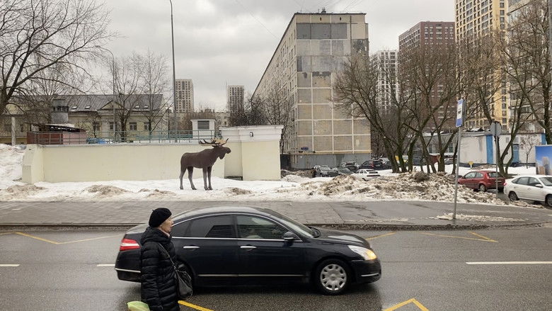 кадр из фильма ЗЕРНОВ-ПРОЕКТ