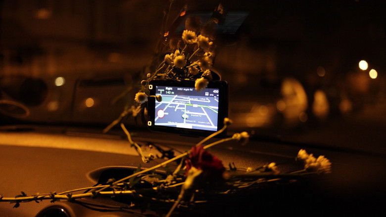 кадр из фильма Bird in a Box