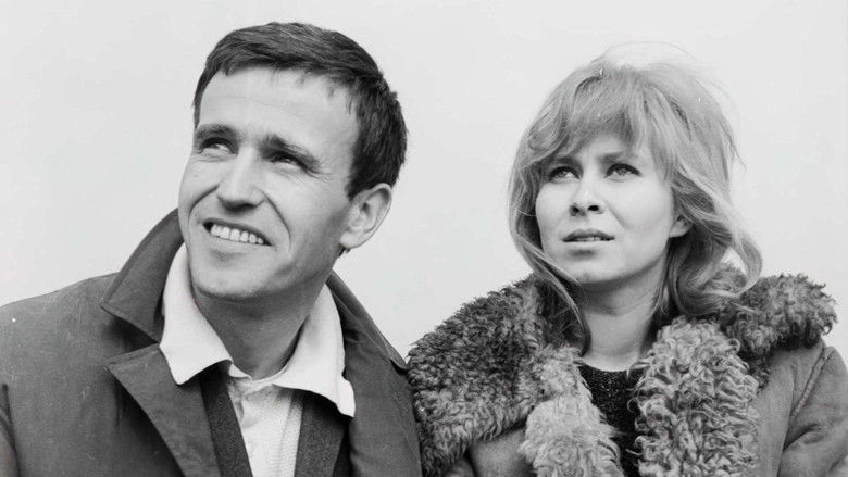 кадр из фильма Bariera