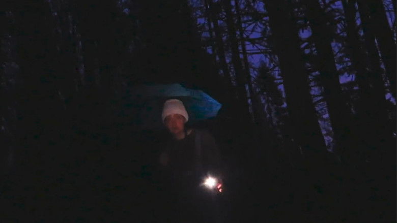 кадр из фильма Starling