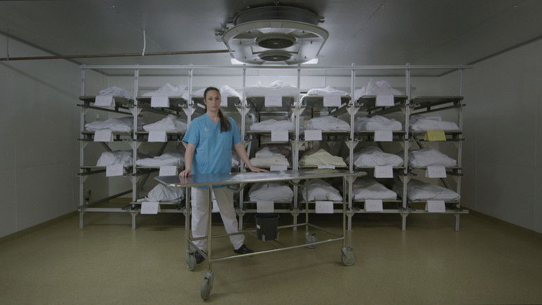 кадр из фильма А в это время на земле