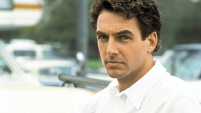 кадр из фильма Осторожный незнакомец