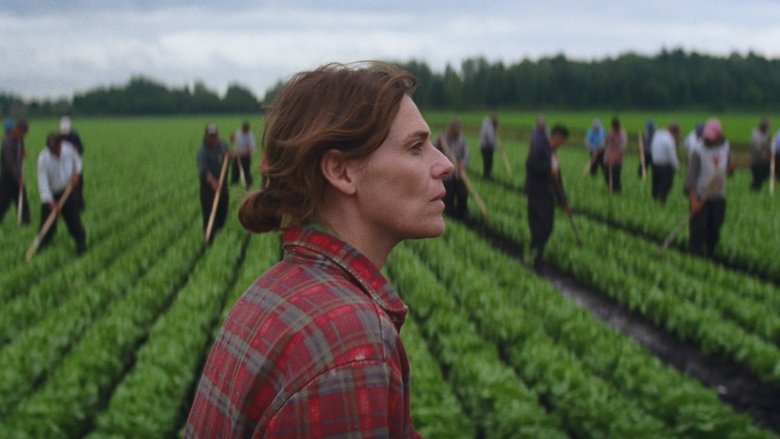 кадр из фильма Les oiseaux ivres