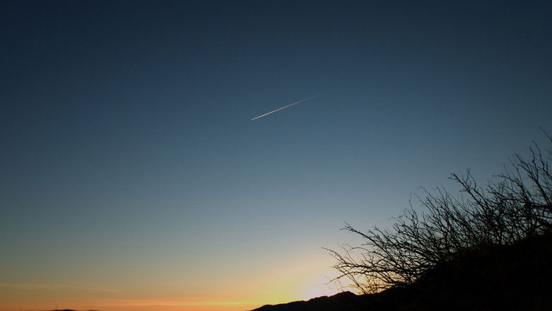 кадр из фильма Libélula