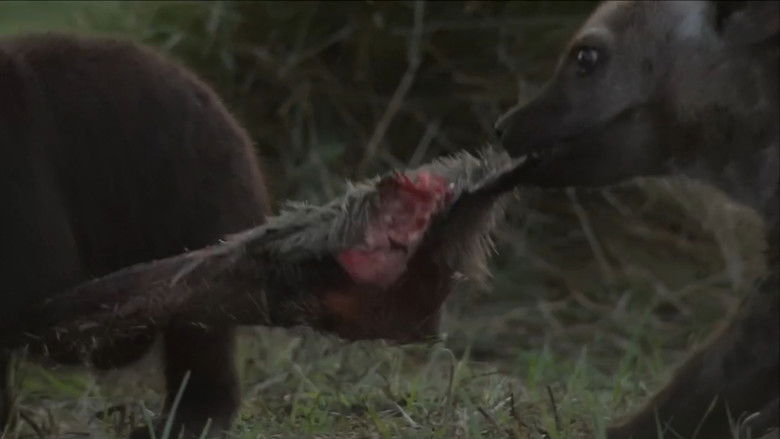 кадр из фильма Bonecrusher Queens